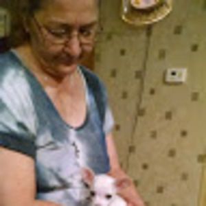 Meet your Posher, Susan